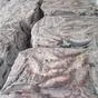 плотва с/м от 5 тонн в Саранске